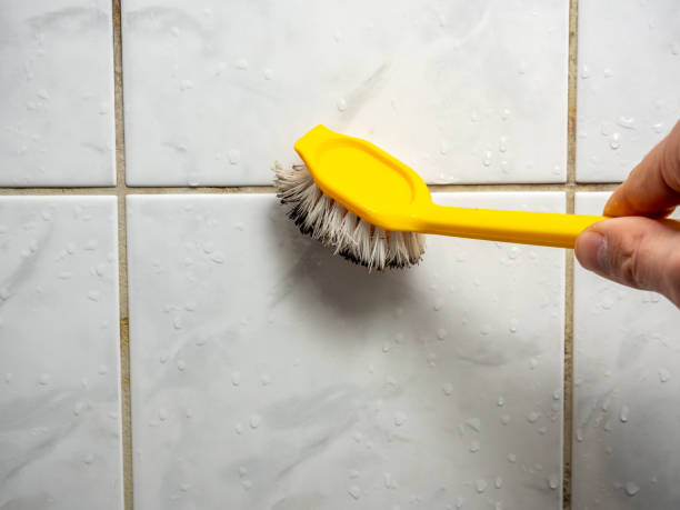 Best Mold Removal and Inspection  in Essex Fells, NJ