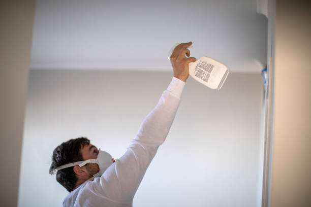Best Mold Damage Repair  in Essex Fells, NJ