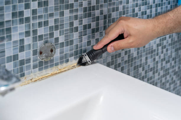 Best Black Mold Removal  in Essex Fells, NJ