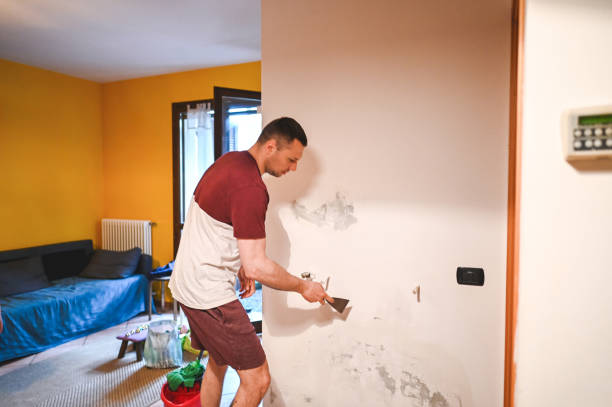 Best Commercial Mold Removal  in Essex Fells, NJ